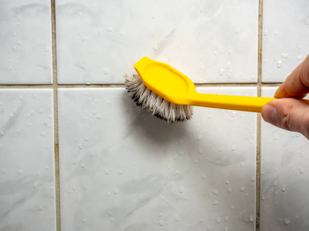 Best Mold Testing  in New Burlington, OH