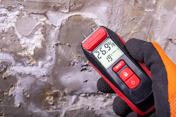 Crawl Space Mold Removal in New Burlington, OH
