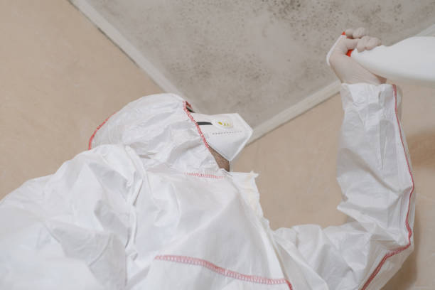 Best Mold Testing  in New Burlington, OH