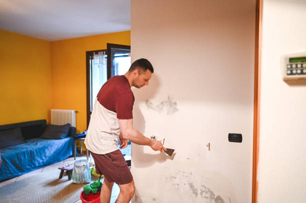 Best Mold Removal Company Near Me  in New Burlington, OH